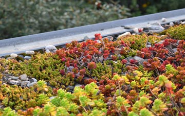 the cost of Balbeggie green roof installation