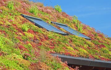 Balbeggie living roof systems