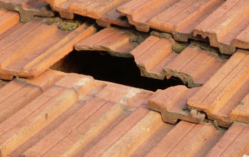 roof repair Balbeggie, Perth And Kinross